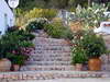 finca can lluc ibiza 6